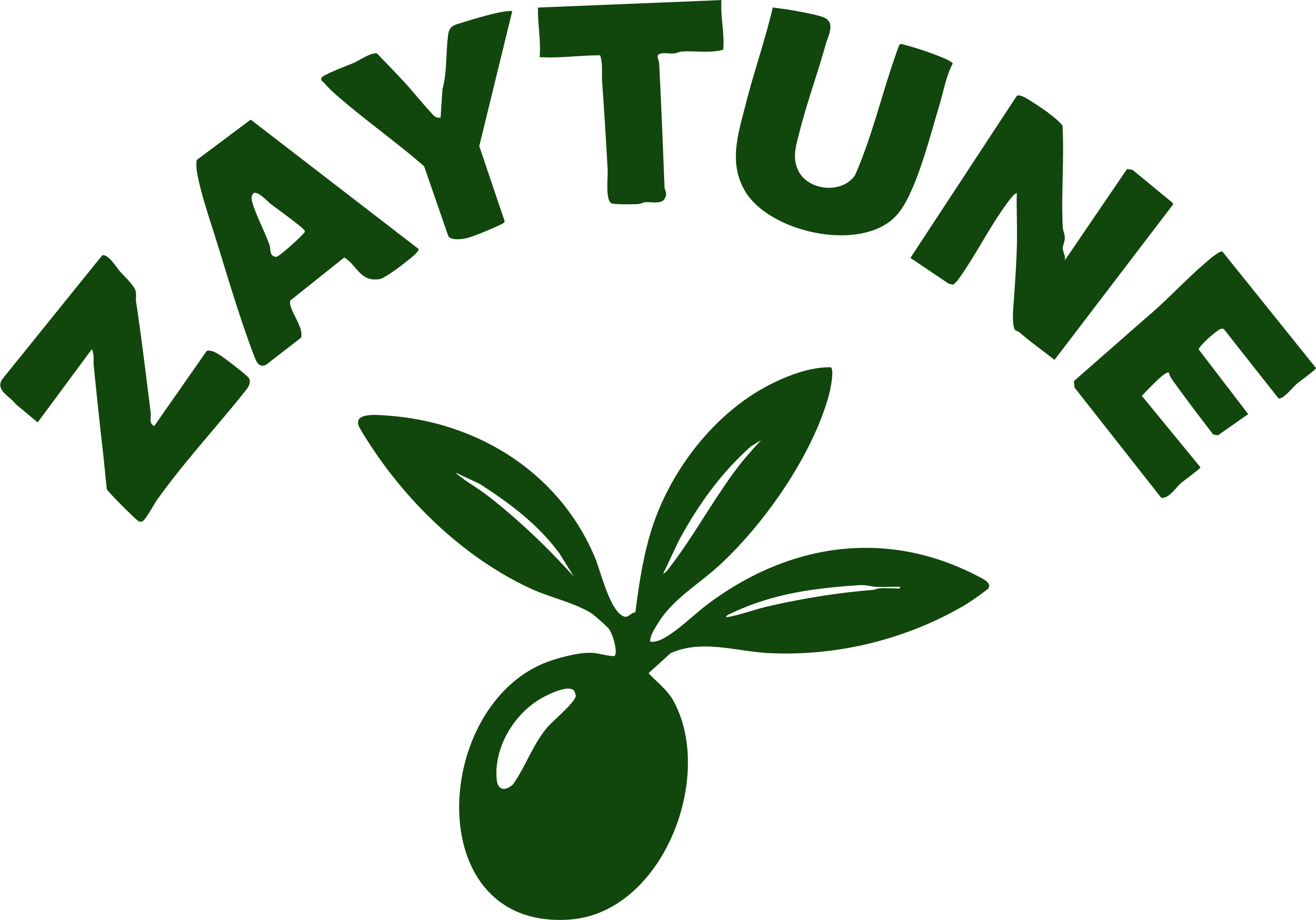 ZAYTUNE